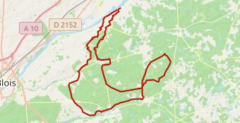 La_Royale_2025_75_Le_Cygne BIS