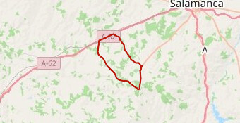 Una vuelta por el Campo Charro (desde Vecinos)