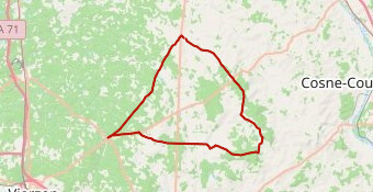 HENRICHEMONT -  cathédrale de Linard-22313830