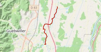 Foulées de l'Ill 2025 - Bénévoles