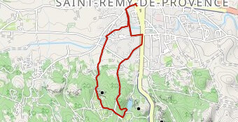 rando walkin st remy