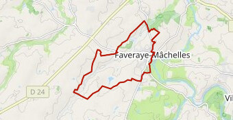 A travers les vignes du Layon