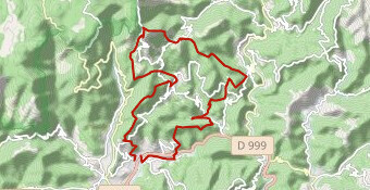 Marathon de la Toureille 2026