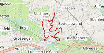 Vague Bleue 2025 officiel Public