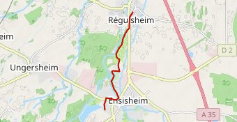 Foulées de l'Ill - 5 km - 2025