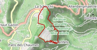 rando 3 fours-6.5 km