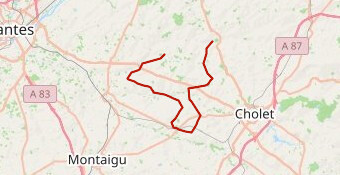 TDMC 2026 1 ère EQUIPE FLECHAGE 64 KMS