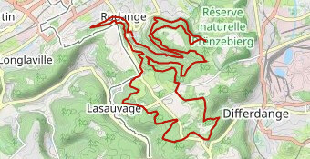 2025 VTT25km