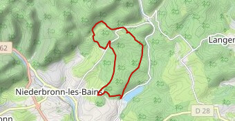 2025 Petite marche Ray 1 nov