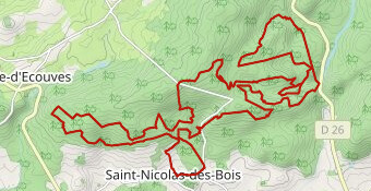 VERDIER 2026 trail 35 départ par l'étang