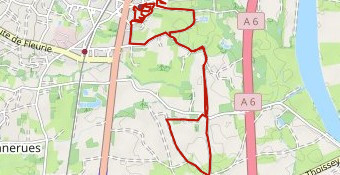 TOUROPARC RUN 2025 10km