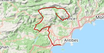 TNR - day 2 - long V2