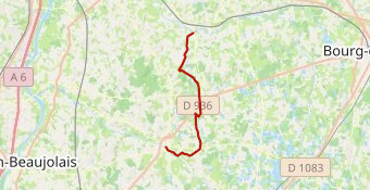 Semi Marathon Bresse Dombes