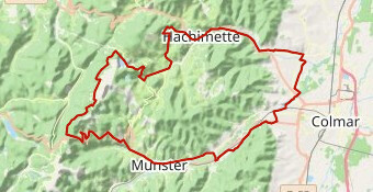Circuit :  Wettstein Les Merelles