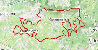 Trail de Noel 29 km B