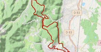 Marathon Petit Ballon 2026