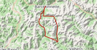 Barcelonnette_Cayolle_Champ_Allos