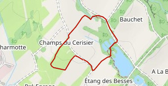 CROSS MOYENNE BOUCLE