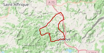 2512XX PJ Couvertoirade Avene