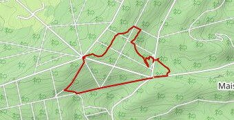 chêne au verdier 6.23km ph