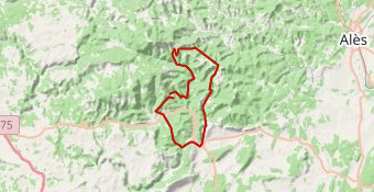 Panorama sur les cévennes - copie