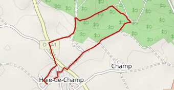 Rando ASV 2026 Boucle 3 3.3km