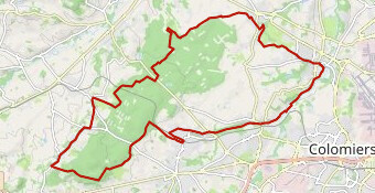 Gravel boucle forêt de Bouconne