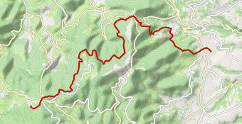 Rois retour tremplin Collet