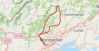 260104 PC MONTFERRIER P02 N #MATELLES