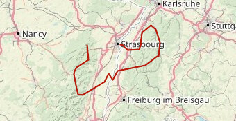 HAMSTER OLIVIER 2026