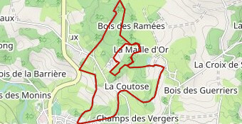 POYAUTRAIL 2026 10KM