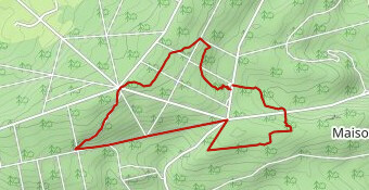 Parcours Santé 8 km RG